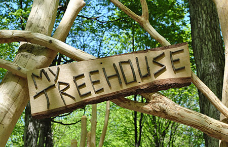Tree-House01.jpg