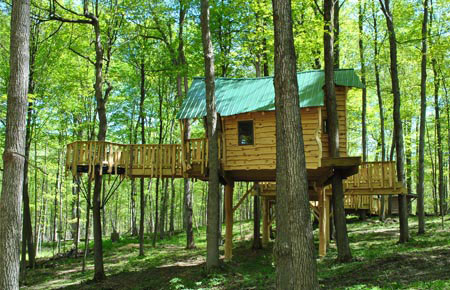 Tree-House02.jpg
