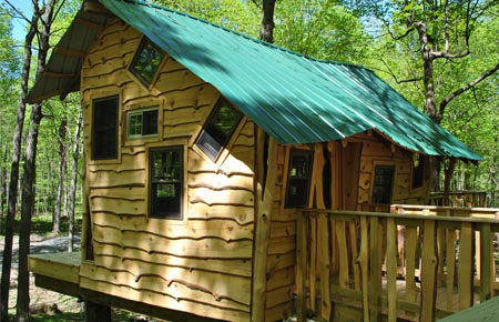 Tree-House03.jpg