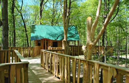 Tree-House04.jpg