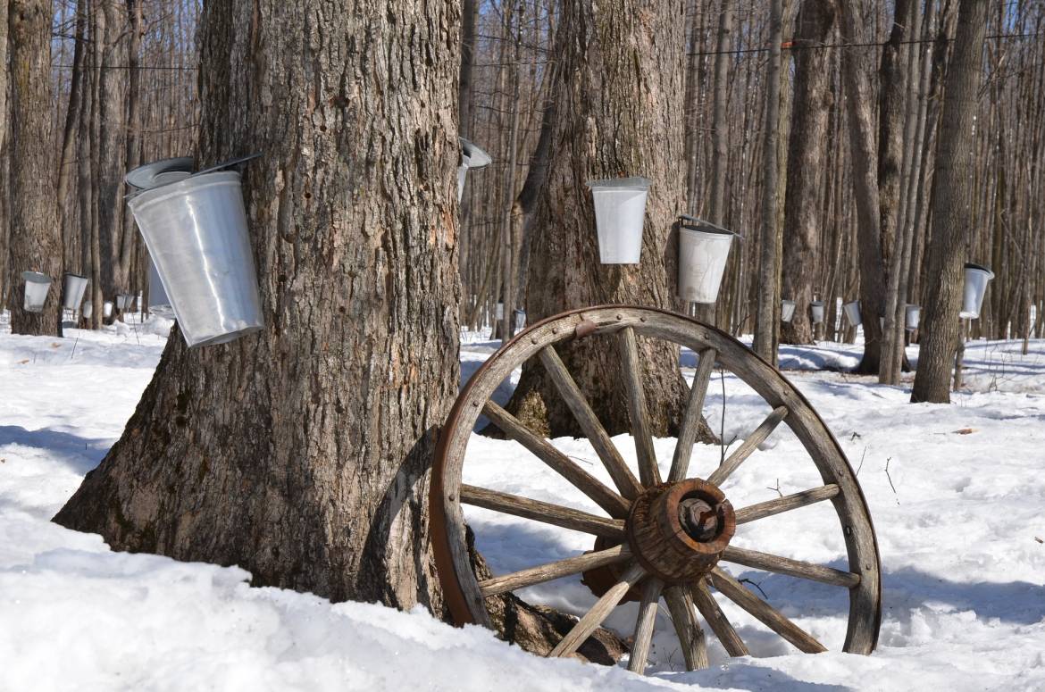 maple-syrup-1169896_1920.jpg