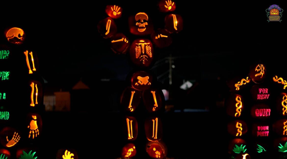 skeleton-2-promos-scaled.jpg